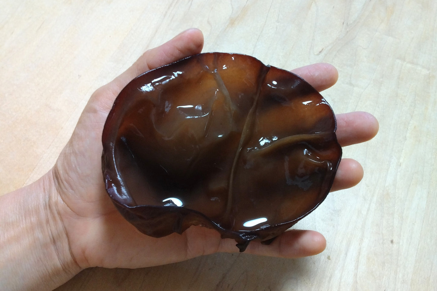 乾燥きくらげ(冷凍便に同梱)