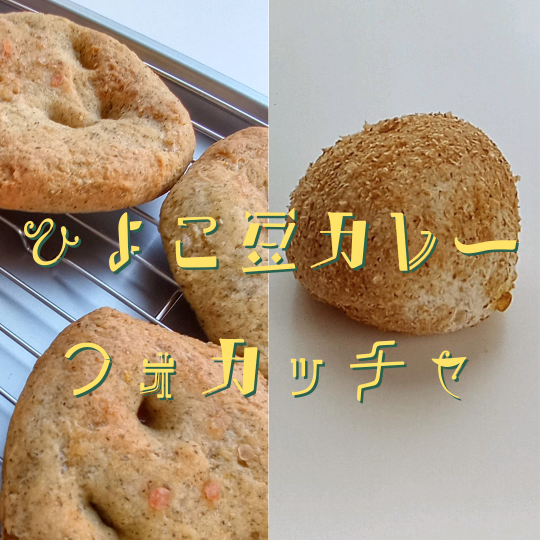 新商品のお知らせ