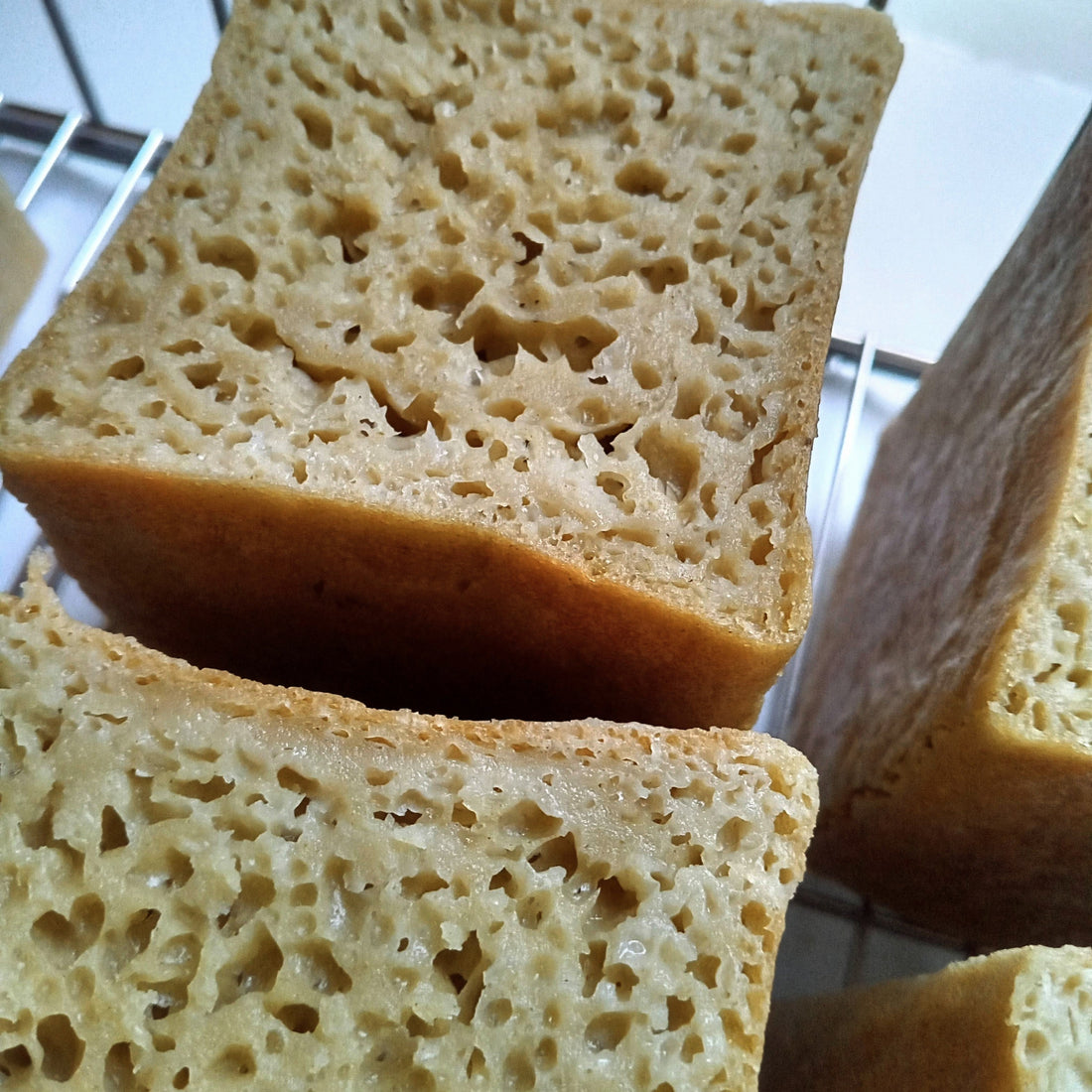 玄米角食２種