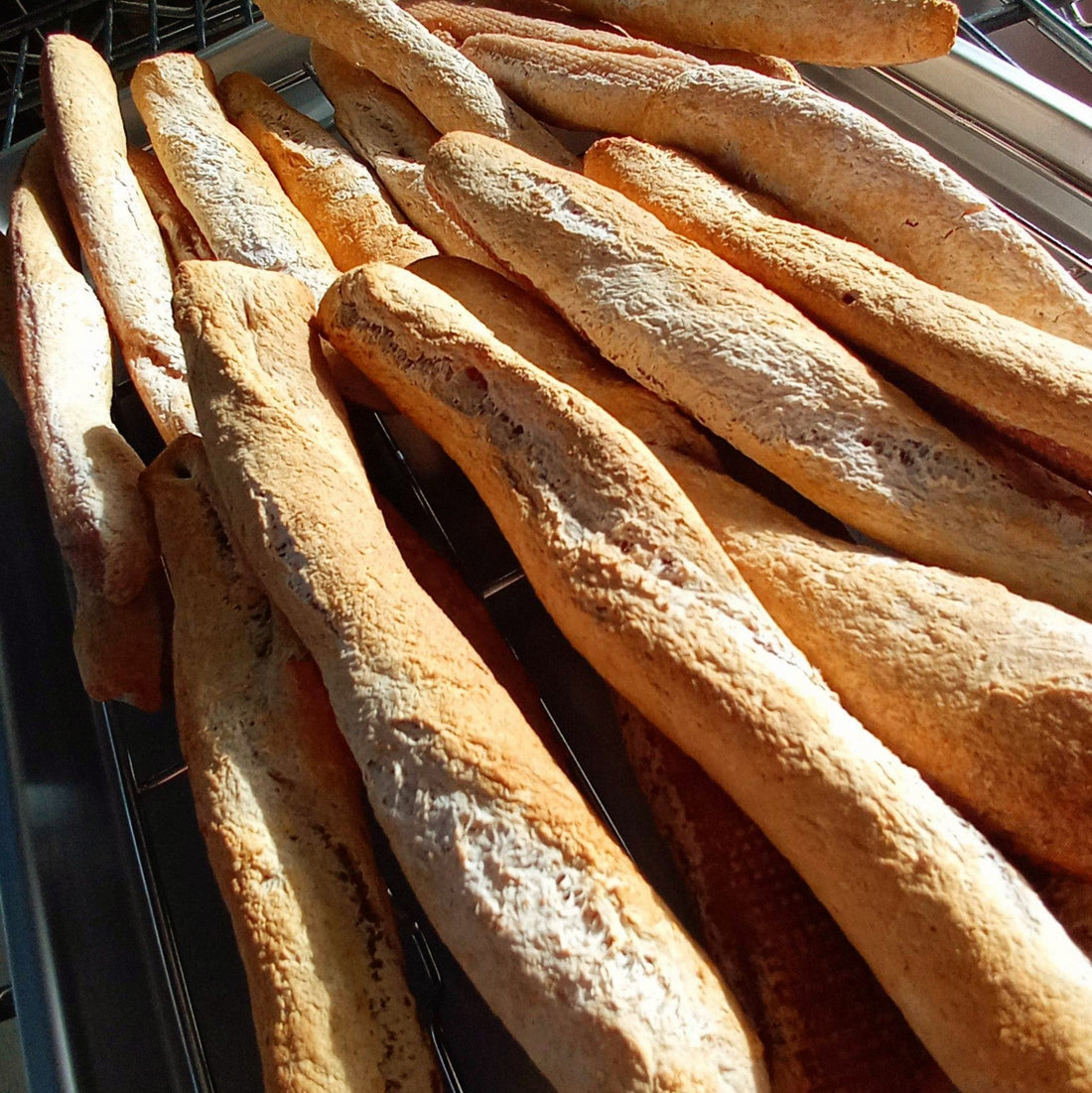 新商品のご案内