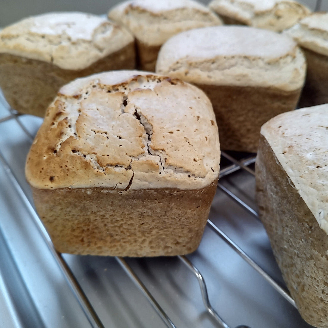 薬草の米パン復刻