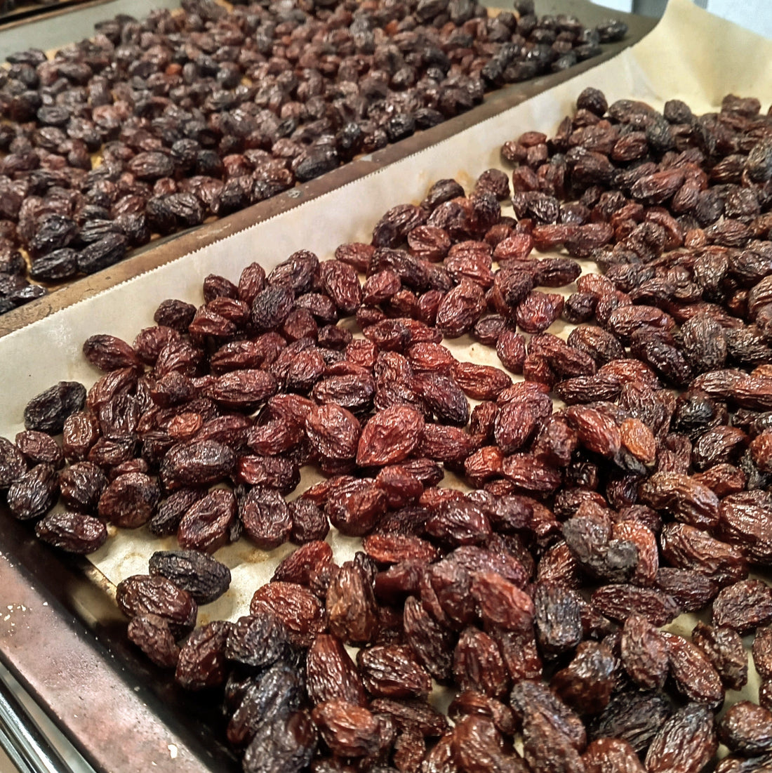 レーズンキャンディ