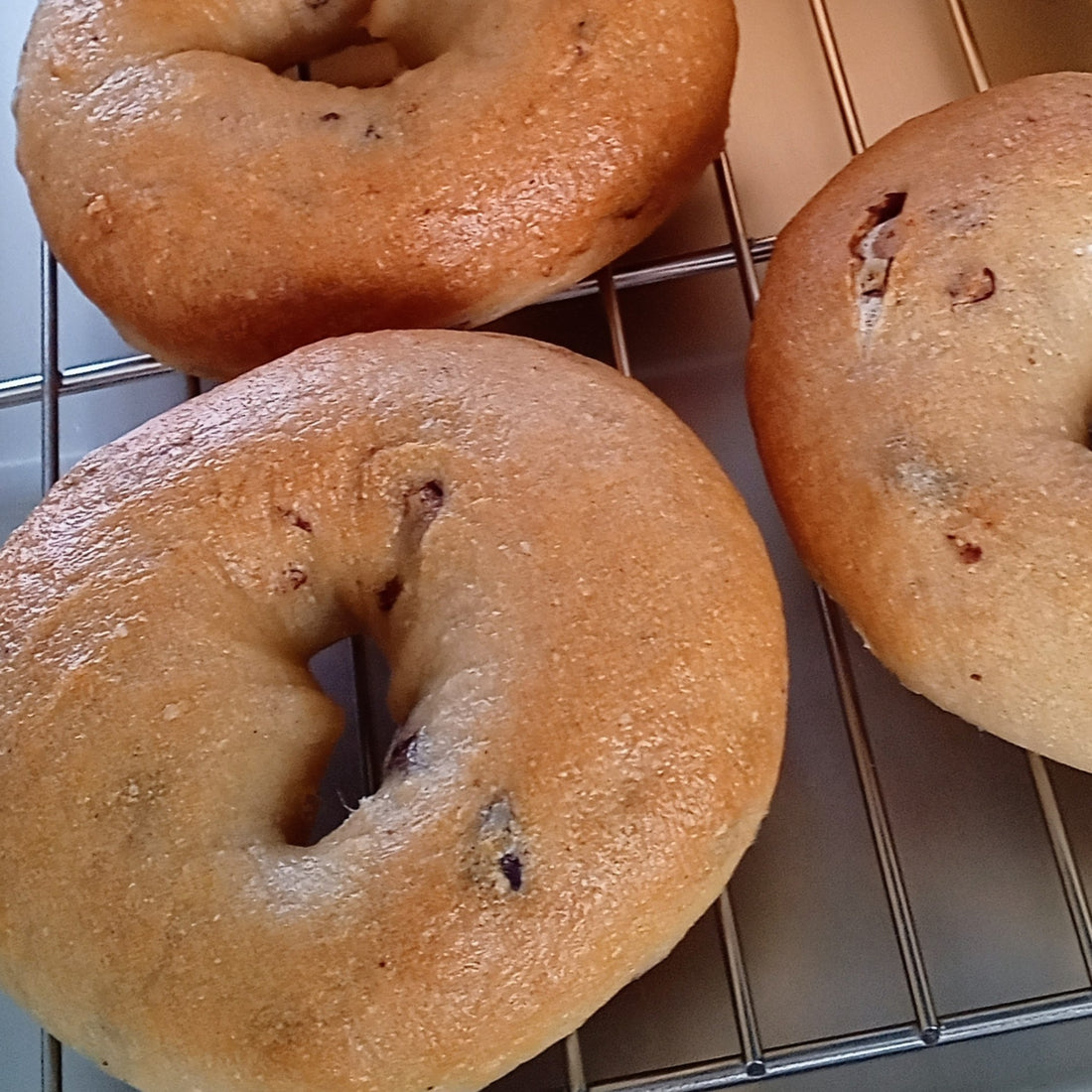 新商品のご案内