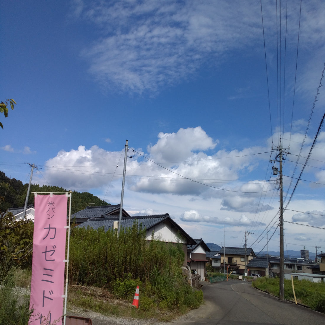 小麦のエネルギー