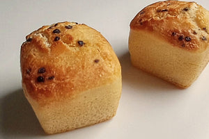 黒塩ぎんなん（減農薬５分づき米）砂糖不使用