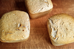 玄米プレーン　ミニパン　砂糖・油不使用